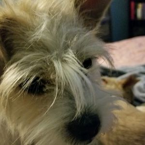 Meet your Posher, Gabriela